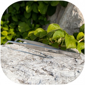 Curved waterproof terrarium tweezers - 20cm